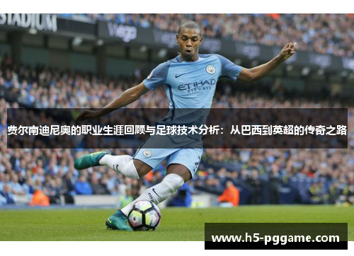 费尔南迪尼奥的职业生涯回顾与足球技术分析：从巴西到英超的传奇之路