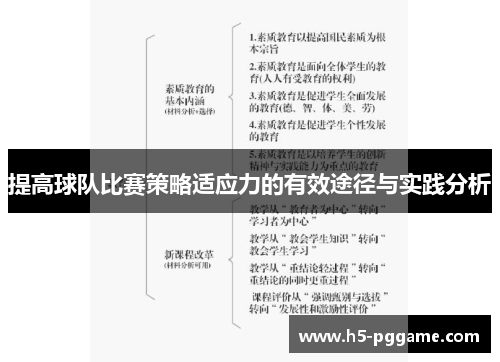 提高球队比赛策略适应力的有效途径与实践分析