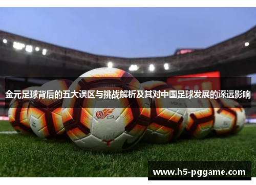 金元足球背后的五大误区与挑战解析及其对中国足球发展的深远影响