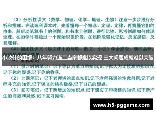 小波什的困境：八年努力连二当家都难以实现 三大问题成就难以突破